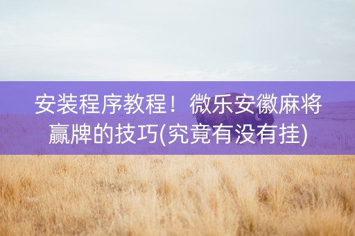 安装程序教程！微乐安徽麻将赢牌的技巧(究竟有没有挂)