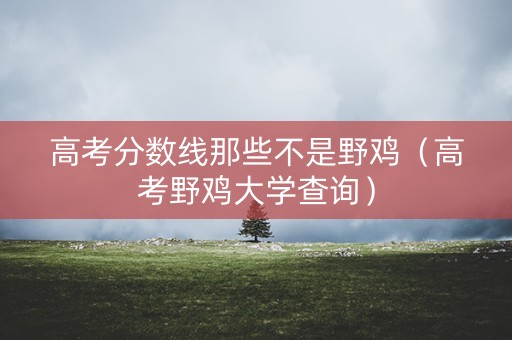高考分数线那些不是野鸡（高考野鸡大学查询）