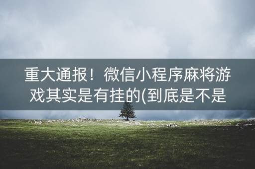 重大通报！微信小程序麻将游戏其实是有挂的(到底是不是有挂)