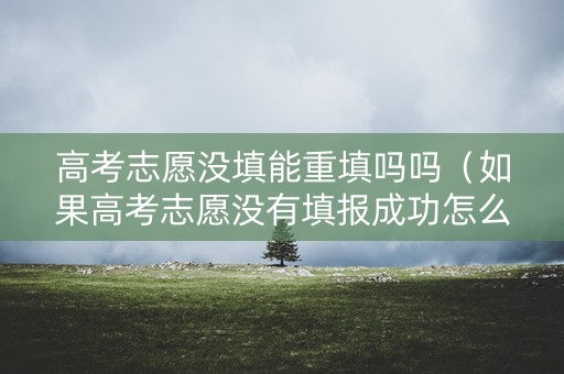 高考志愿没填能重填吗吗（如果高考志愿没有填报成功怎么办）