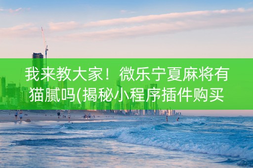 我来教大家！微乐宁夏麻将有猫腻吗(揭秘小程序插件购买)