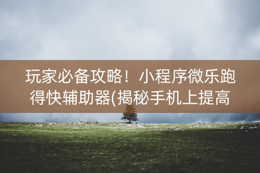 玩家必备攻略！小程序微乐跑得快辅助器(揭秘手机上提高胜率)