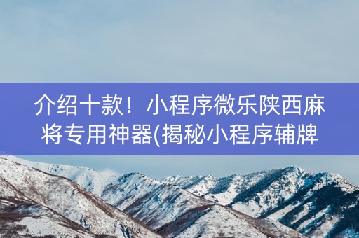 介绍十款！小程序微乐陕西麻将专用神器(揭秘小程序辅牌器)