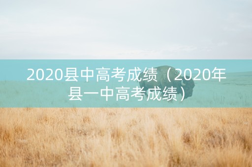 2020县中高考成绩（2020年县一中高考成绩）