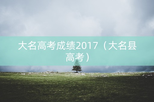 大名高考成绩2017（大名县高考）
