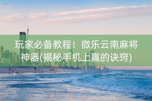 玩家必备教程！微乐云南麻将神器(揭秘手机上赢的诀窍)
