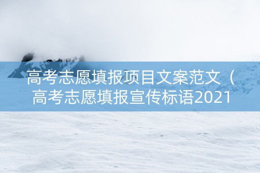 高考志愿填报项目文案范文（高考志愿填报宣传标语2021）