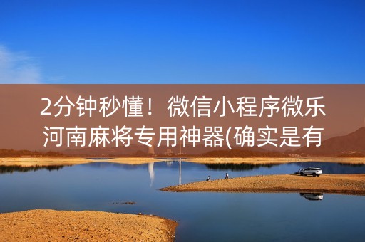 2分钟秒懂！微信小程序微乐河南麻将专用神器(确实是有挂)