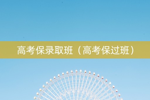 高考保录取班（高考保过班）