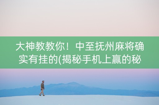 大神教教你！中至抚州麻将确实有挂的(揭秘手机上赢的秘诀)