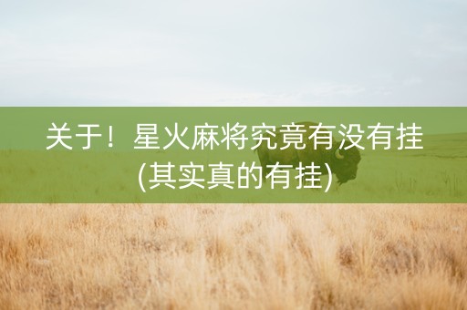 关于！星火麻将究竟有没有挂(其实真的有挂)
