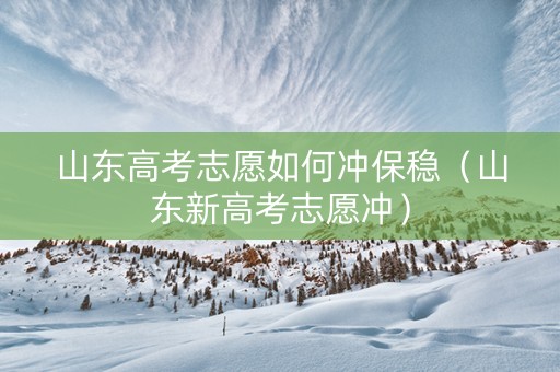 山东高考志愿如何冲保稳（山东新高考志愿冲）
