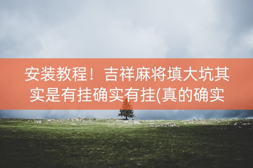 安装教程！吉祥麻将填大坑其实是有挂确实有挂(真的确实是有挂)