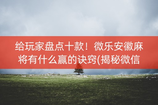 给玩家盘点十款！微乐安徽麻将有什么赢的诀窍(揭秘微信里提高胜率)