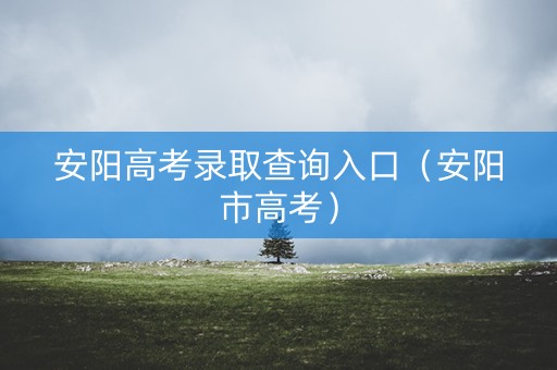 安阳高考录取查询入口（安阳市高考）