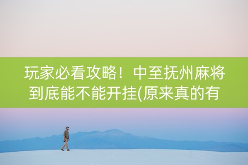 玩家必看攻略！中至抚州麻将到底能不能开挂(原来真的有挂)
