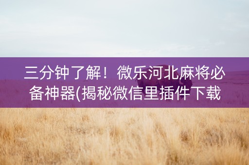 三分钟了解！微乐河北麻将必备神器(揭秘微信里插件下载)