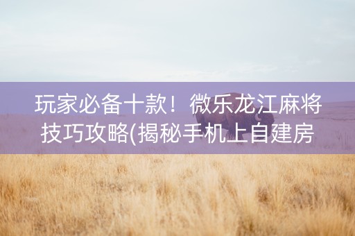 玩家必备十款！微乐龙江麻将技巧攻略(揭秘手机上自建房怎么赢)