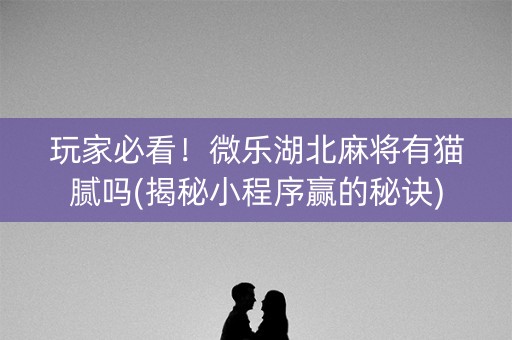 玩家必看！微乐湖北麻将有猫腻吗(揭秘小程序赢的秘诀)