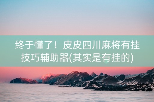 终于懂了！皮皮四川麻将有挂技巧辅助器(其实是有挂的)