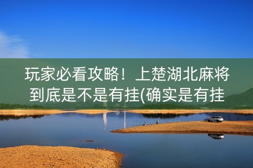 玩家必看攻略！上楚湖北麻将到底是不是有挂(确实是有挂的)