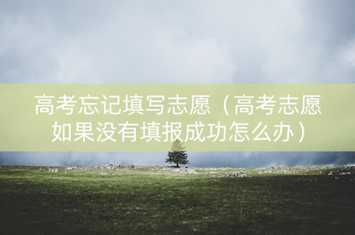 高考忘记填写志愿（高考志愿如果没有填报成功怎么办）