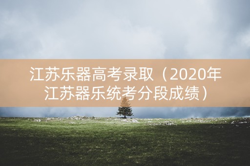 江苏乐器高考录取（2020年江苏器乐统考分段成绩）