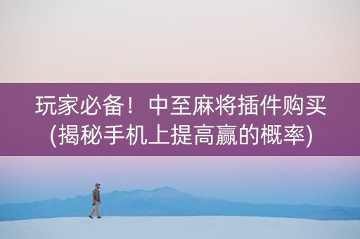 玩家必备！中至麻将插件购买(揭秘手机上提高赢的概率)