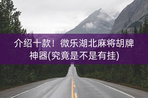 介绍十款！微乐湖北麻将胡牌神器(究竟是不是有挂)
