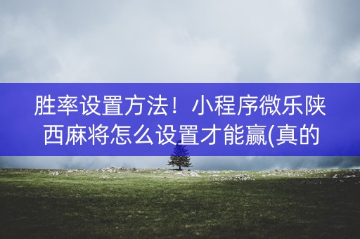 胜率设置方法！小程序微乐陕西麻将怎么设置才能赢(真的有挂确实有挂)