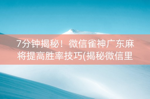 7分钟揭秘！微信雀神广东麻将提高胜率技巧(揭秘微信里自建房怎么赢)
