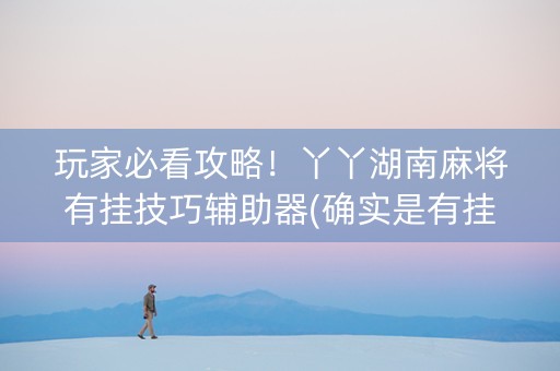 玩家必看攻略！丫丫湖南麻将有挂技巧辅助器(确实是有挂的)