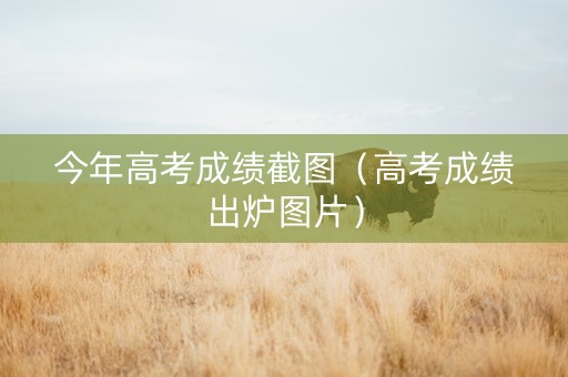 今年高考成绩截图（高考成绩出炉图片）
