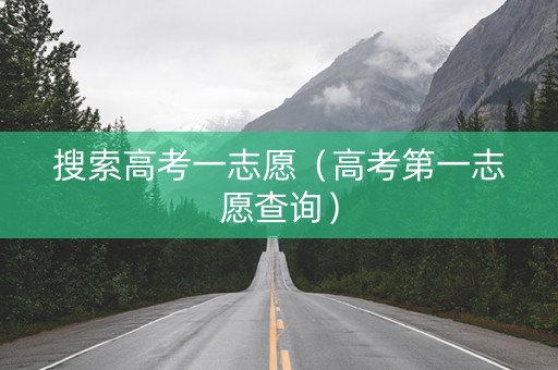 搜索高考一志愿（高考第一志愿查询）