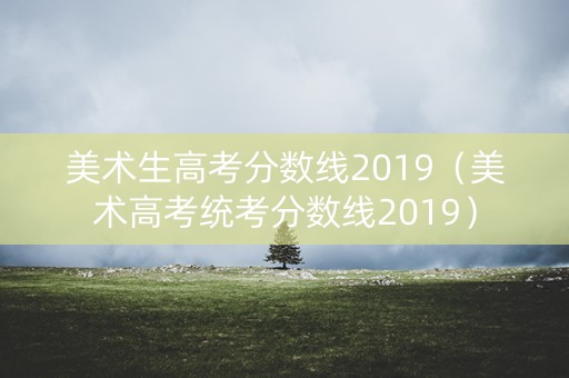美术生高考分数线2019（美术高考统考分数线2019）