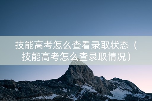 技能高考怎么查看录取状态（技能高考怎么查录取情况）