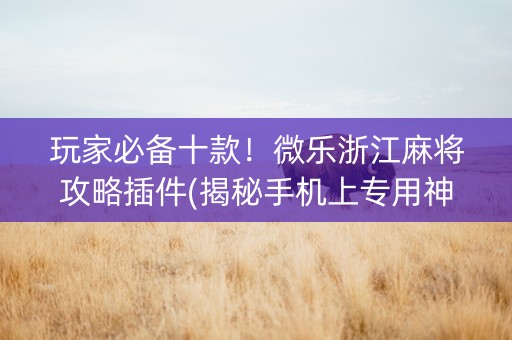 玩家必备十款！微乐浙江麻将攻略插件(揭秘手机上专用神器)