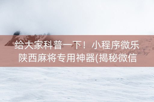 给大家科普一下！小程序微乐陕西麻将专用神器(揭秘微信里系统发好牌)