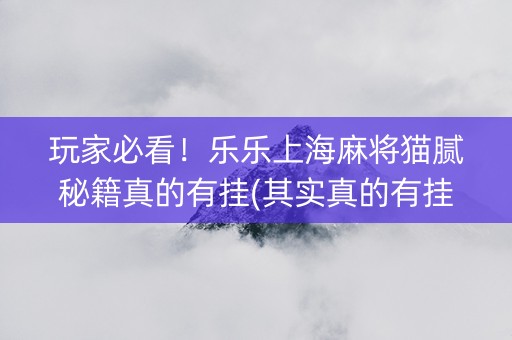 玩家必看！乐乐上海麻将猫腻秘籍真的有挂(其实真的有挂)