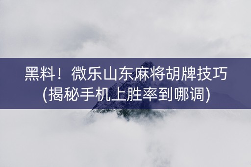 黑料！微乐山东麻将胡牌技巧(揭秘手机上胜率到哪调)
