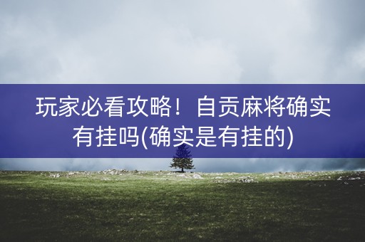 玩家必看攻略！自贡麻将确实有挂吗(确实是有挂的)