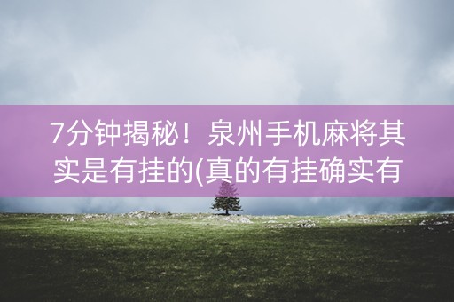 7分钟揭秘！泉州手机麻将其实是有挂的(真的有挂确实有挂)