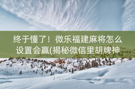 终于懂了！微乐福建麻将怎么设置会赢(揭秘微信里胡牌神器)