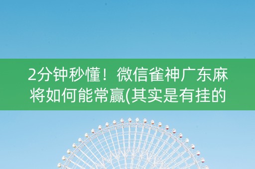 2分钟秒懂！微信雀神广东麻将如何能常赢(其实是有挂的)