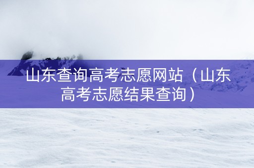 山东查询高考志愿网站（山东高考志愿结果查询）
