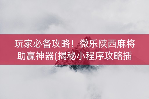 玩家必备攻略！微乐陕西麻将助赢神器(揭秘小程序攻略插件)