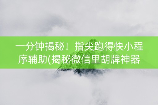 一分钟揭秘！指尖跑得快小程序辅助(揭秘微信里胡牌神器)