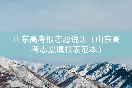 山东高考报志愿说明（山东高考志愿填报表范本）