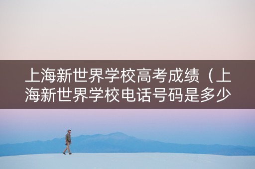 上海新世界学校高考成绩（上海新世界学校电话号码是多少）