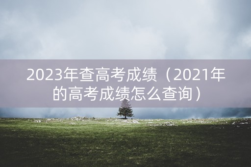 2023年查高考成绩（2021年的高考成绩怎么查询）